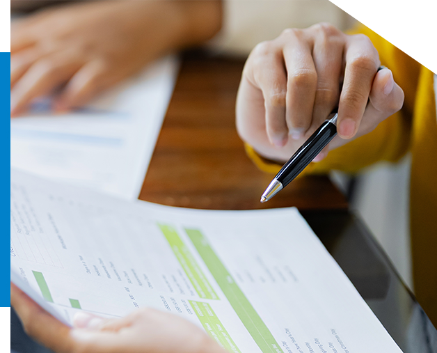 Audit and Financial Documents